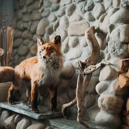 Ξενοδοχείο Vagslidtun 3*